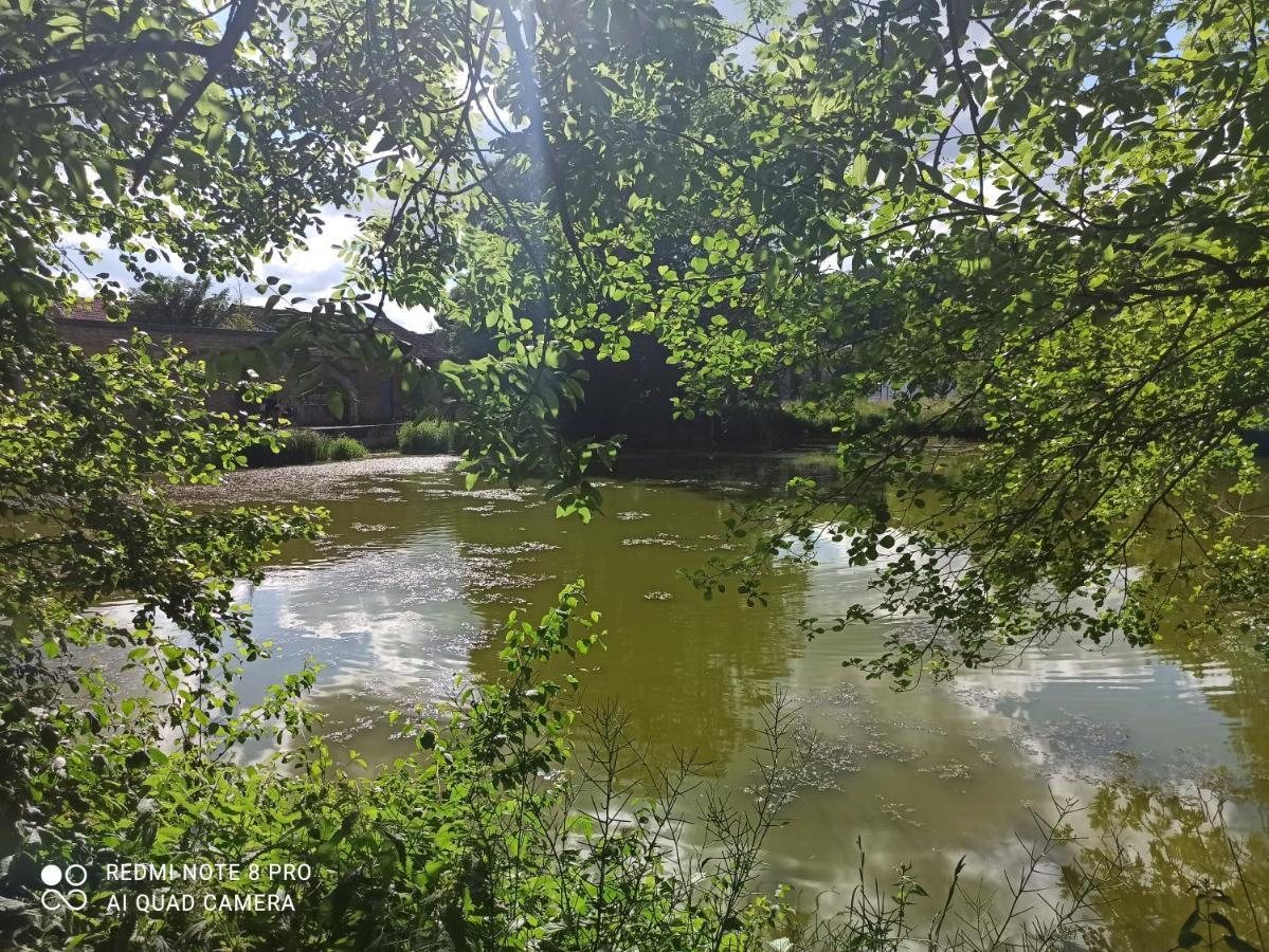 Maisonnette Independante 4 Personnes Jardin Terrasse Vrigne-aux-Bois Εξωτερικό φωτογραφία